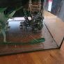 54 litre tank Image 3