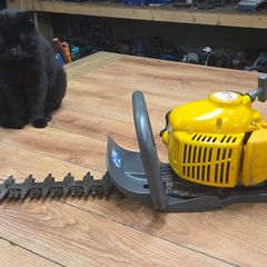Hedge trimmer