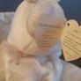 Collection of White & Grey Beanie Bears Image 4
