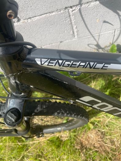 Carrera vengeance mountain bike