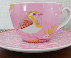Pip Studios Early Robin Cup & Saucer 15 euro Never used