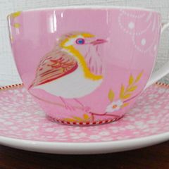 Pip Studios Early Robin Cup & Saucer 15 euro Never used