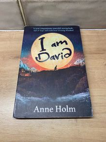 I am David Novel