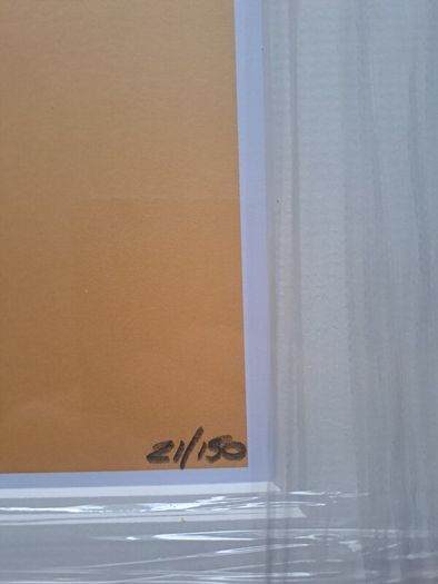 contemporary art