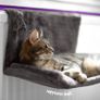 Warm and Cosy Pet Cat and Dog Radiator Bed. Brand new. Image 7