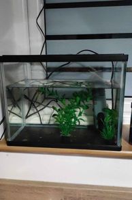 Small fish tank