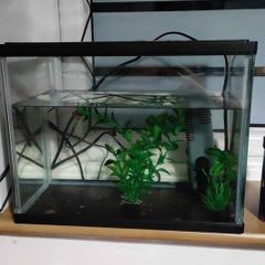 Small fish tank