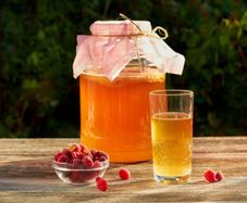 Organic Kombucha Scoby With Starter Tea / Organic Fermented Probiotic Drink / Tea