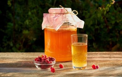 Organic Kombucha Scoby With Starter Tea / Organic Fermented Probiotic Drink / Tea