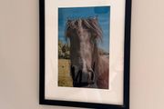 Framed Original Print