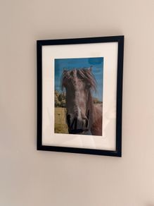 Framed Original Print