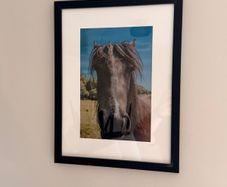 Framed Original Print
