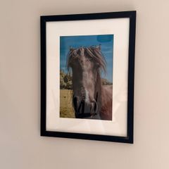 Framed Original Print