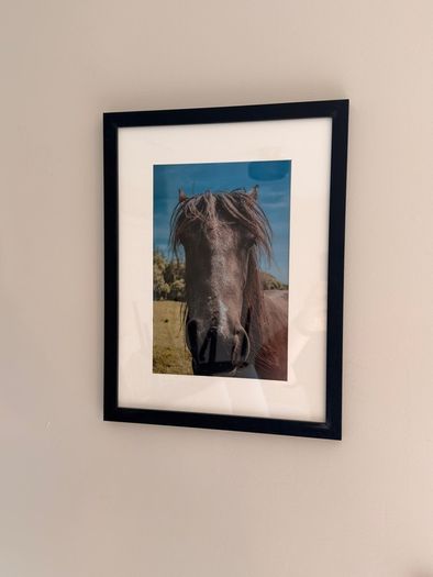 Framed Original Print