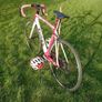 Turas RR1.0 carbon bike Image 3