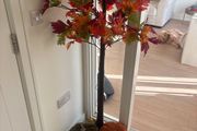 Autum tree with battery lights
