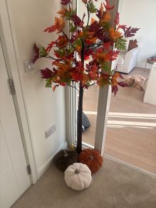 Autum tree with battery lights
