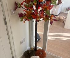 Autum tree with battery lights