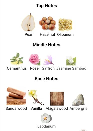 Amouage Guidance