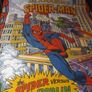 spiderman Image 2