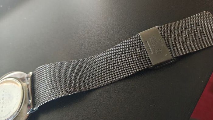 Skagen SKW 6108