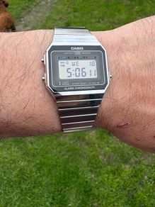 casio