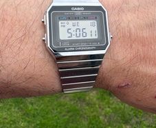 casio