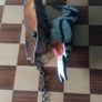 Cast Iron Wood Pecker Door Knocker Image 2