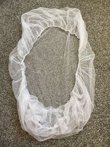 Insect net for buggy