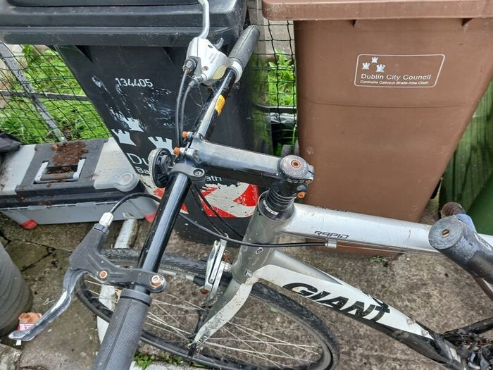 giant bike