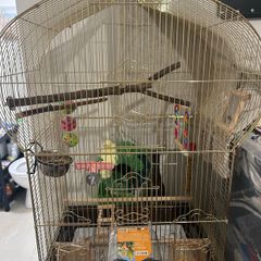 budgie cage