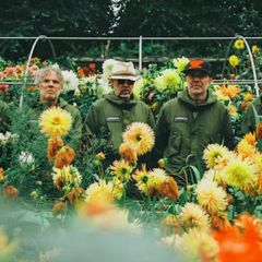 Super Furry Animals