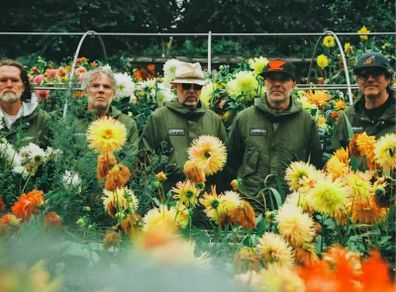 Super Furry Animals