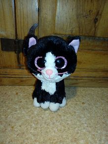 Small cat teddy
