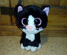 Small cat teddy