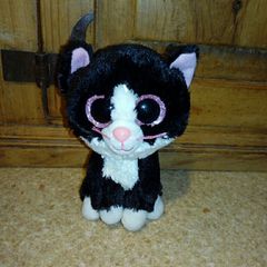 Small cat teddy