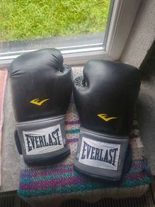 Everlast 16oz Boxing Gloves