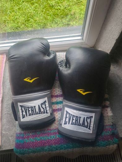Everlast 16oz Boxing Gloves