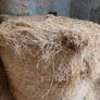 Hay Image 2