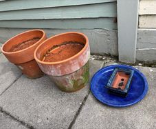 2 medium terracotta pots and 1 bonsai pot
