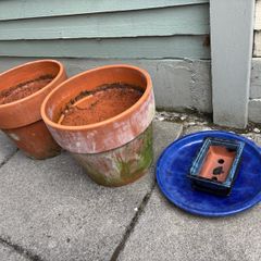 2 medium terracotta pots and 1 bonsai pot