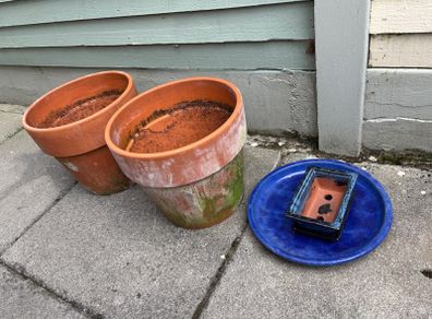 2 medium terracotta pots and 1 bonsai pot