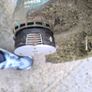Bosch  Trimmer Image 4