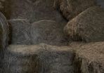 Bales of hay