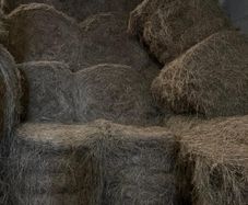 Bales of hay