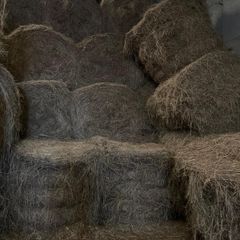 Bales of hay