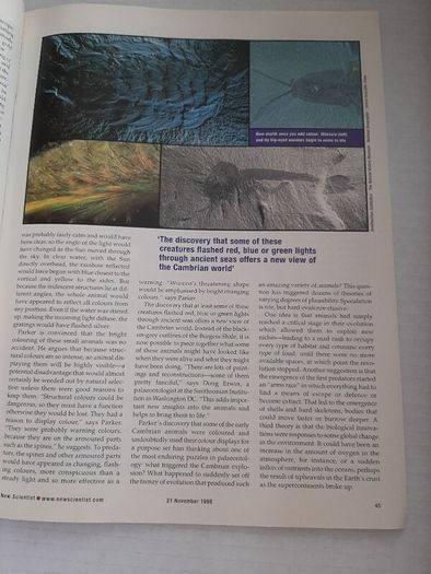 vintage science magazine 1999