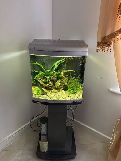 80L fish tank and stand