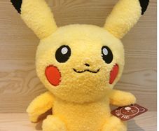 Pokemon Pikachu 20cm plush toy 2 for 30 w/squirtle