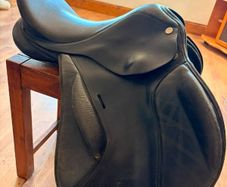 Young Rider Saddle for sale